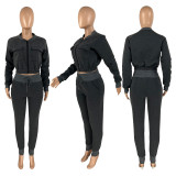 Solid Fleece Zipper Coat And Pants Two Piece Sets CH-8203