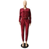 Velvet Sequin Zipper Coat And Pants 2 Piece Sets CM-2169