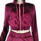 Velvet Hooded Zipper Coat And Pants 2 Piece Sets XMY-9341