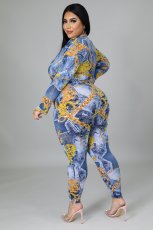 Plus Size Sexy Printed V Neck Long Sleeve Jumpsuit APLF-11015