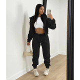 Solid Fleece Zipper Hoodies Casual 2 Piece Sets DDF-88144