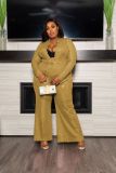 Plus Size Shiny Long Sleeve Two Piece Pants Set JRF-3669