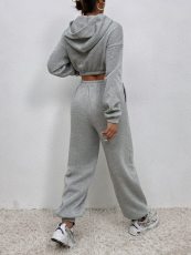 Solid Hooded Crop Top And Pants 2 Piece Sets XMEF-1159
