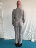 Plus Size Solid Zipper Long Sleeve 2 Piece Pants Set OMY-80081