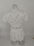 Women Lace Sexy Lingerie Nightwear Sets YQ-W418