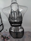 Sexy See Though Hollow Bodysuits Teddies Lingerie  YQ-W376