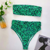Tube Top High Waist Printed Swimsuit Two Piece Set CSYZ-WB10