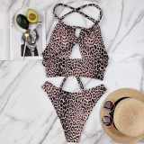 Sexy Leopard Print Hollow Swimsuit CSYZ-B251