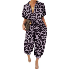 Leopard Print Short Sleeve Sashes Jumpsuit NY-8893