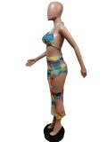 Sexy Mesh Printed Beachwear 3 Piece Sets MEM-88418