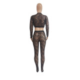 Sexy Lace Crop Top And Pants 2 Piece Sets GCNF-0092