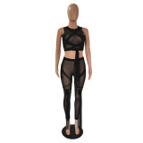 Sexy Mesh See Through Two Piece Pants Set GCNF-0107