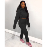 Plus Size Solid Hooded Tracksuit 2 Piece Sets GCNF-0075