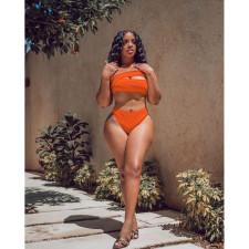 Sexy Solid Bikinis Two Piece Sets IV-8288
