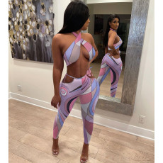 Sexy Print Halter Cropped Top And Pants Two Piece Set XHAF-10015