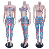 Sexy Mesh Printed Bodysuit+Pants 2 Piece Sets MDF-5297