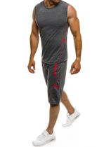 Men's Sports Fitness Vest Two-Piece Shorts Sets FLZH-ZT89-ZK89