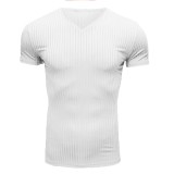 Men's Casual V Neck Short Sleeve T-shirt FLZH-ZT168
