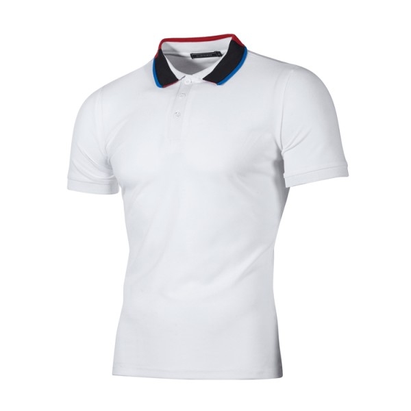 Men Lapel Short Sleeve Casual POLO FLZH-ZT65