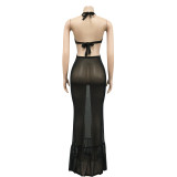 Sexy See Through Halter Backless Maxi Dress BY-5719