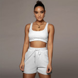 Casual Sports Tank Top And Shorts 2 Piece Sets YNB-7249