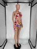 Printed Sexy Halter Top And Skirt Two Piece Set XYKF-9027
