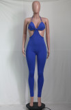 Sexy Backless Sling Tight Jumpsuit YS-S810
