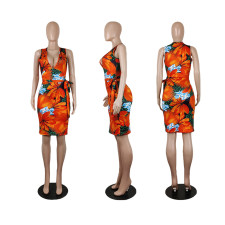 Plus Size Floeal Print V Neck Sleeveless Sashes Dress SHE-8110