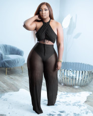 Sexy Halter Top And Pants Two Piece Sets WXIN-294