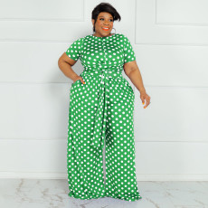 Plus Size Polka Dot Print Two Piece Pants Sets OSIF-22293