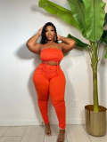 Plus Size Solid Ruched Two Piece Pants Sets ZDF-31211D