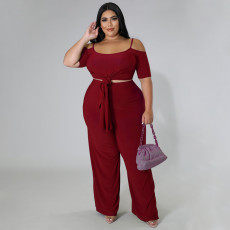 Plus Size Solid Irregular Top And Pants 2 Piece Sets NNWF-7525