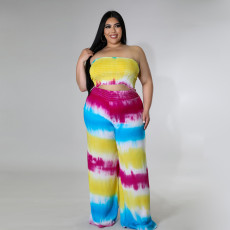 Plus Size Tie Dye Print Tube Top And Pants 2 Piece Sets NNWF-7468