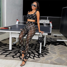 Sexy Printed Mesh See Through Tank Top And Pants 2 Piece Sets XEF-10381