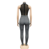 Houndstooth Print Mesh Bodysuit+Pants 2 Piece Sets BY-5713