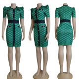 Elegant Printed Short Sleeve Bodycon Dress CY-6028