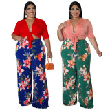 Plus Size Crop Top+Printed Pants 2 Piece Sets NNWF-7579