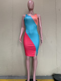 Contrast Color Sleeveless Bodycon Dress ORY-5235