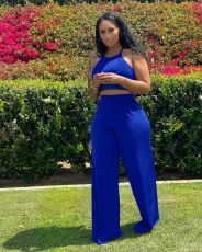 Solid Halter Top And Pants Two Piece Sets FENF-243