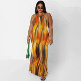 Plus Size Printed Sleeveless Maxi Dress OSIF-22410