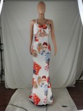 Plus Size Floral Print Sling Maxi Dress JZHF-8115