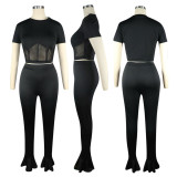 Sexy Mesh Patchwork Crop Top+Flared Pants Sets TE-4441