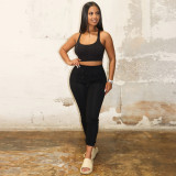 Solid Fitness Tank Top And Pants 2 Piece Sets CH-8229