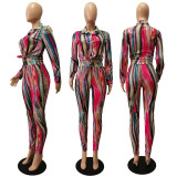 Casual Printed Long Sleeve Shirt+Pants 2 Piece Sets CM-8630