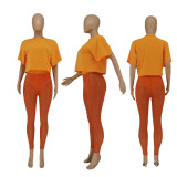 Sexy Printed T Shirt+Mesh Pants 2 Piece Sets SXF-20401-3
