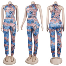 Sexy Printed Bodysuit+Pants Two Piece Pants Sets Y-10202