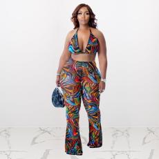 Plus Size Sexy Printed Bra Top And Pants 2 Piece Sets ME-6116