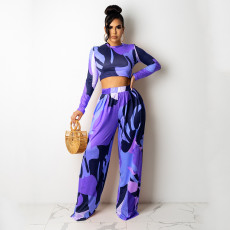 Casual Print Long Sleeve Wide-leg Pants Two Piece Sets GOSD-OS6235