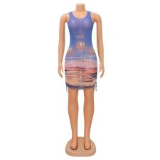 Sexy Mesh Sheer Print Sleeveless Dress GOSD-XM1284