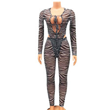 Sexy Mesh Print Bodysuit And Pants Two Piece Set GOSD-OS6261